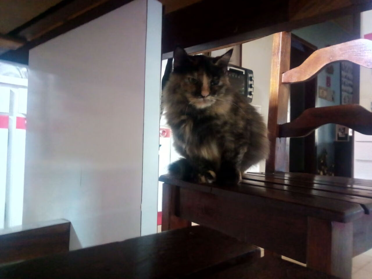 当南美风暴遭遇安达卢西亚骄阳，帕尔默的独角戏与一场超越地理的对决