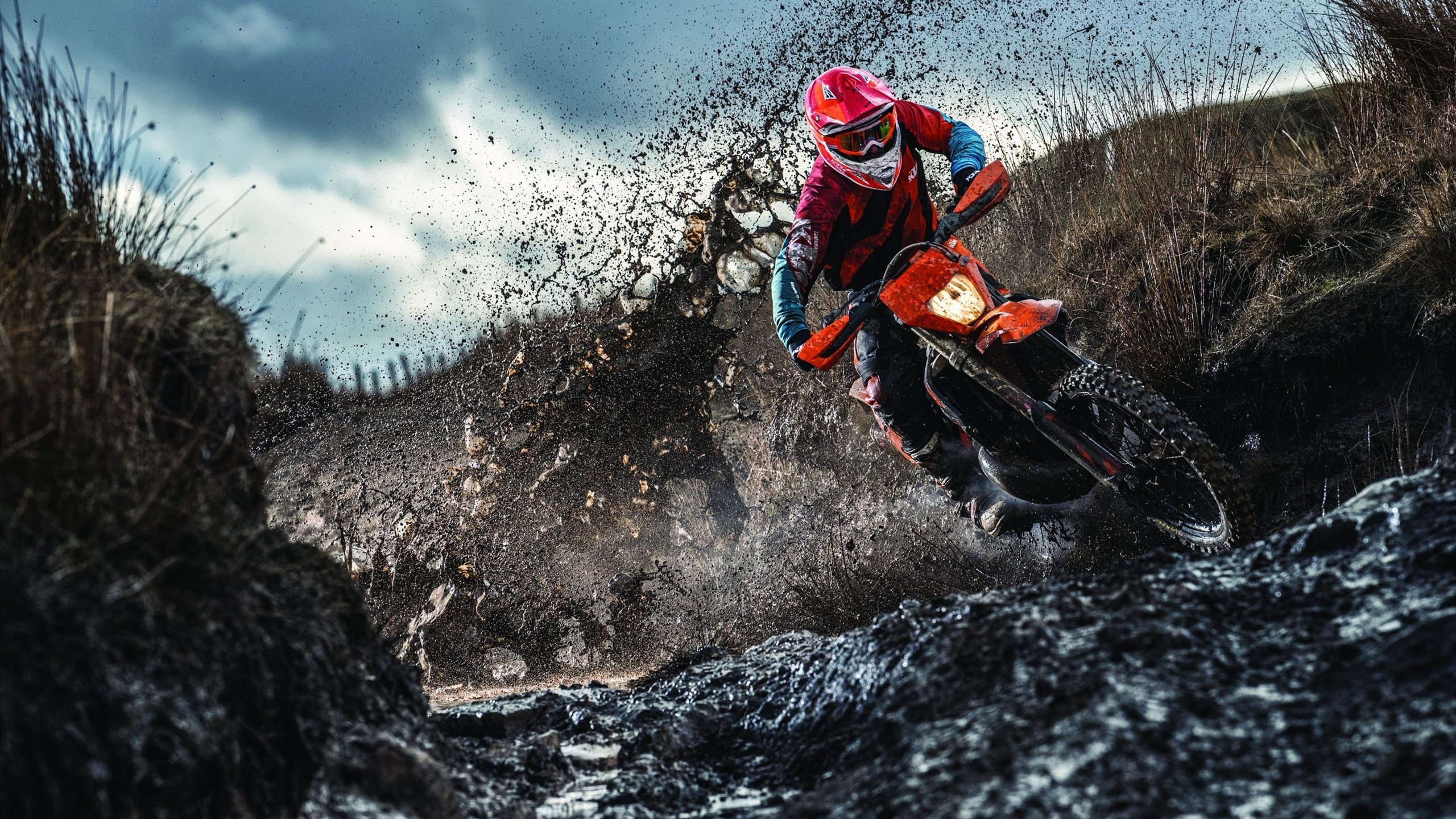 德里赫特惊艳四座,韩国力克委内瑞拉带走胜利